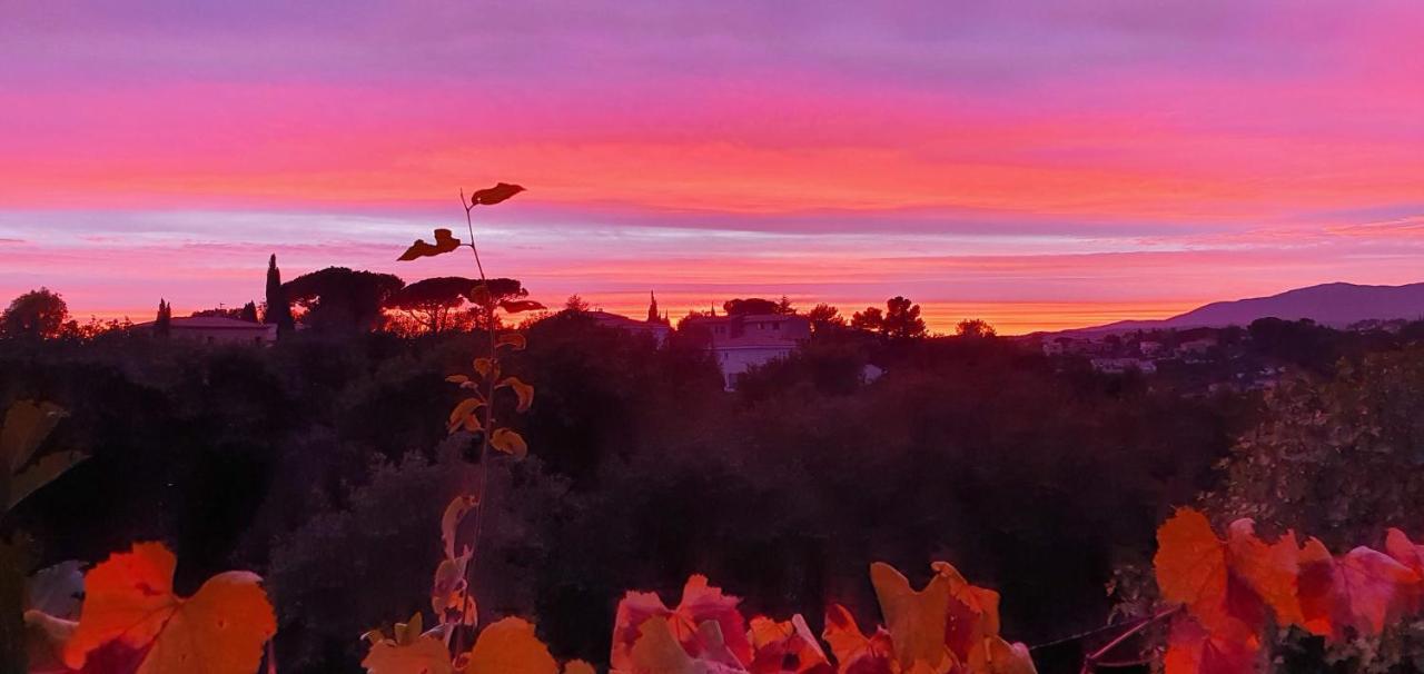 2 Pieces Calme Et Fonctionnel Lägenhet Cagnes-sur-Mer Exteriör bild